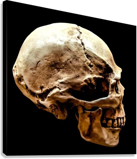 3465 Canvas Print