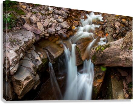 3468 Canvas Print
