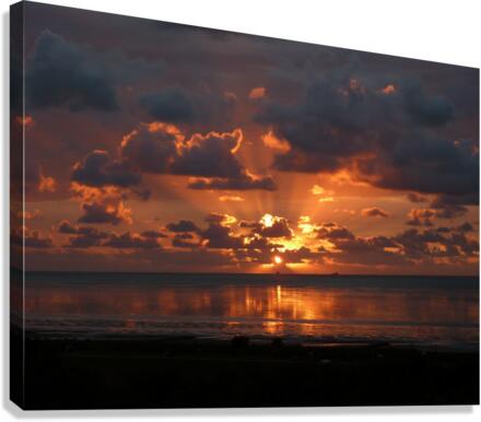 3470 Canvas Print