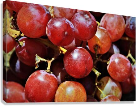 3474 Canvas Print