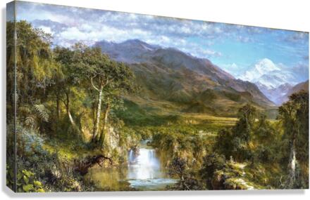 3476 Canvas Print