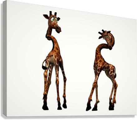 3480 Canvas Print
