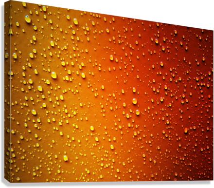 3482 Canvas Print