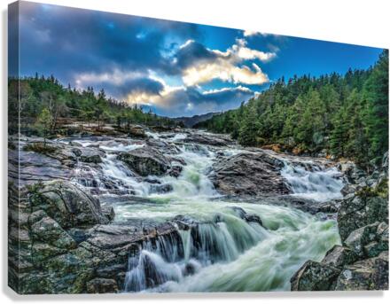 3484 Canvas Print