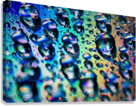 3488 Canvas Print