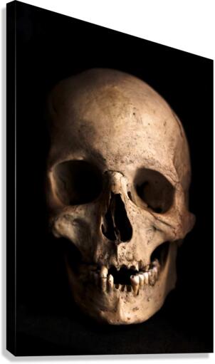 3489 Canvas Print