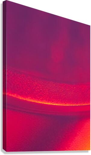 3492 Canvas Print