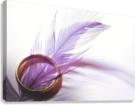 3493 Canvas Print