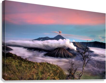3494 Canvas Print