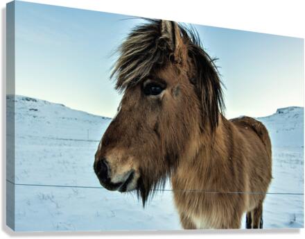3496 Canvas Print