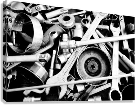 3497 Canvas Print