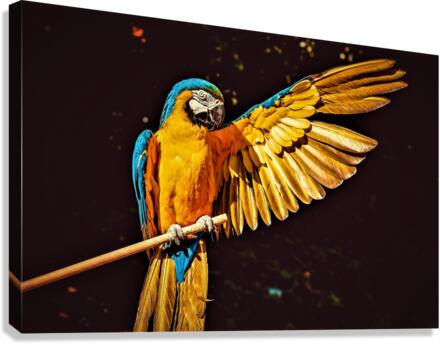 3500 Canvas Print