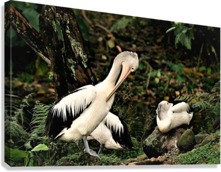3514 Canvas Print