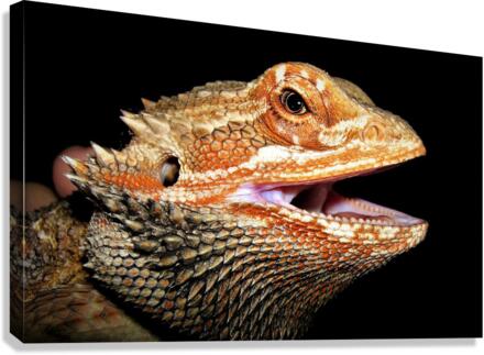 3515 Canvas Print