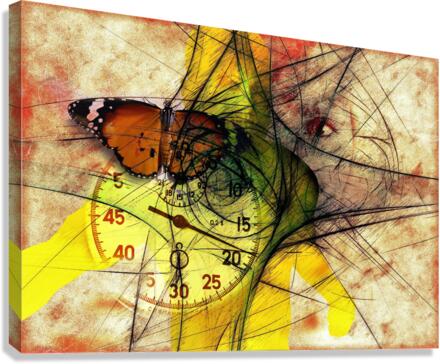 3517 Canvas Print