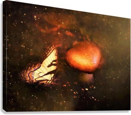 3521 Canvas Print