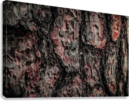 3522 Canvas Print