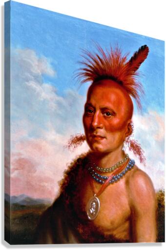3523 Canvas Print