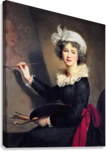 3531 Canvas Print
