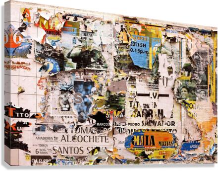 3534 Canvas Print