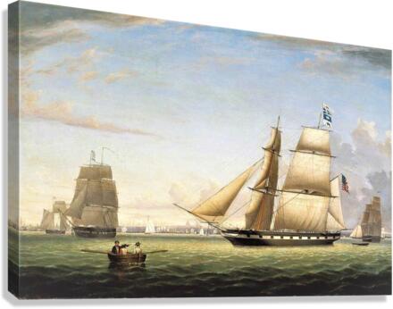 3542 Canvas Print