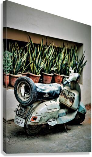 3543 Canvas Print