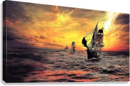3553 Canvas Print
