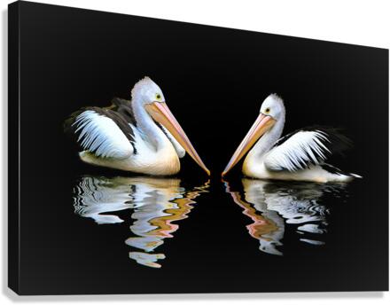 3557 Canvas Print