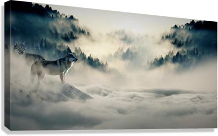 3563 Canvas Print