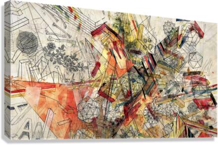 3571 Canvas Print