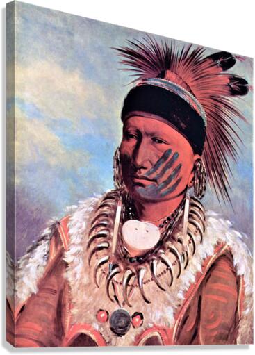 3586 Canvas Print