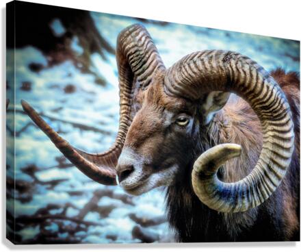 3587 Canvas Print