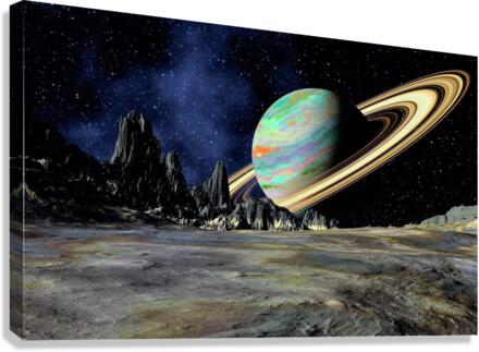 3589 Canvas Print