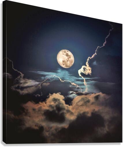 3596 Canvas Print