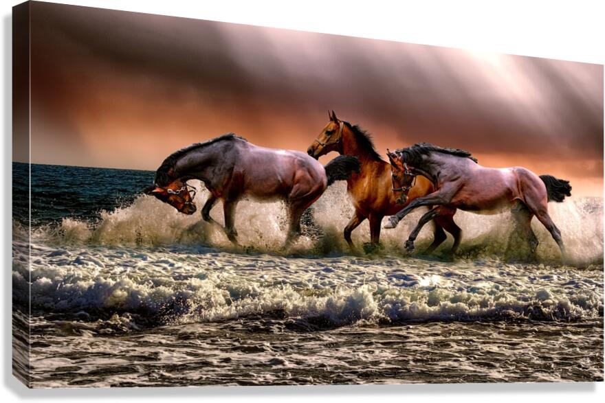 3610 Canvas Print