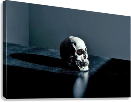 3627 Canvas Print
