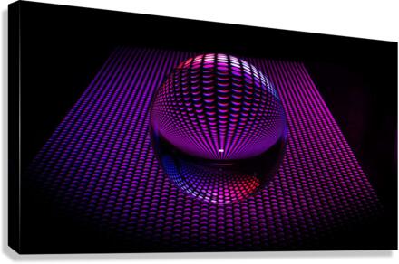 3628 Canvas Print