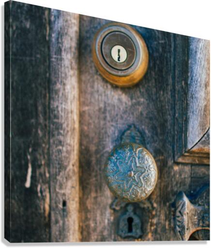 3641 Canvas Print