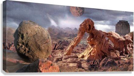 3642 Canvas Print