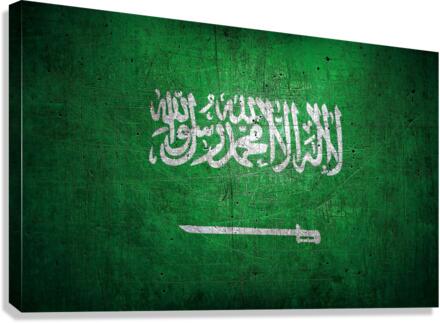 3648 Canvas Print