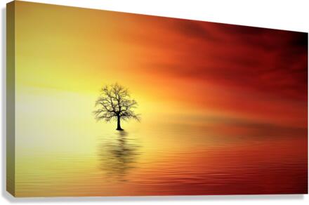 3658 Canvas Print
