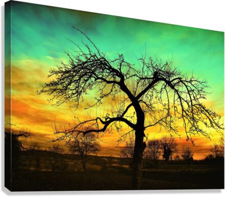 3661 Canvas Print