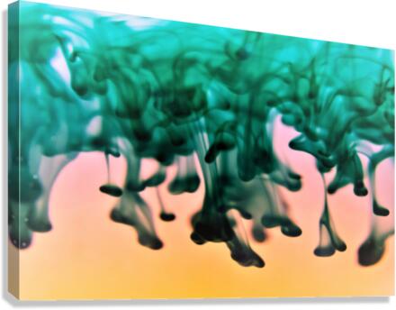 3664 Canvas Print
