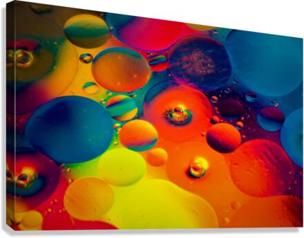 3666 Canvas Print