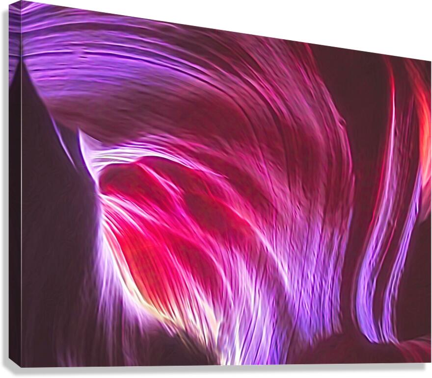 3675 Canvas Print