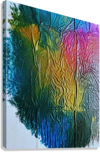 3680 Canvas Print