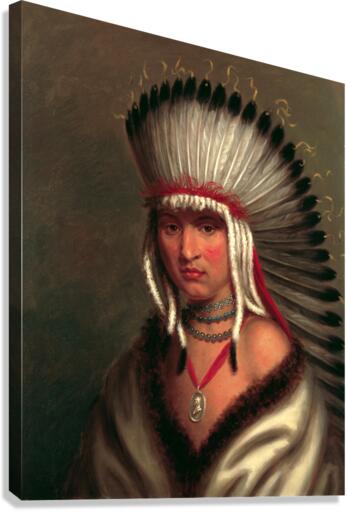 3691 Canvas Print