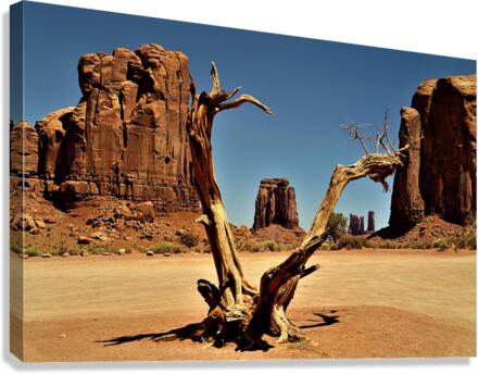 3697 Canvas Print