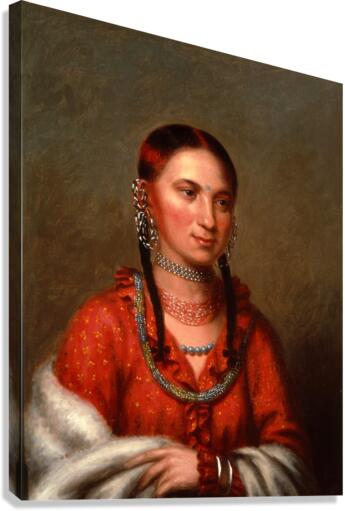 3705 Canvas Print