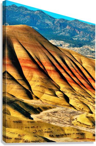 3707 Canvas Print